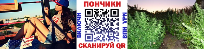 Купить наркотики Светогорск Канабис  Alpha-PVP  ГАШ  Кокаин 