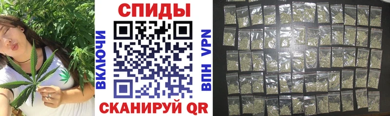 omg зеркало  Светогорск  Бутират буратино 