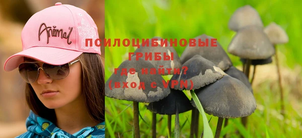 молекула духа Балахна