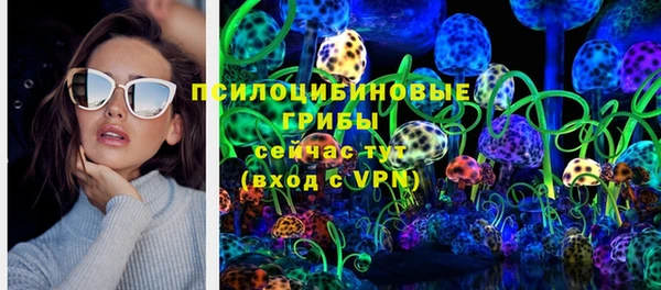 молекула духа Балахна