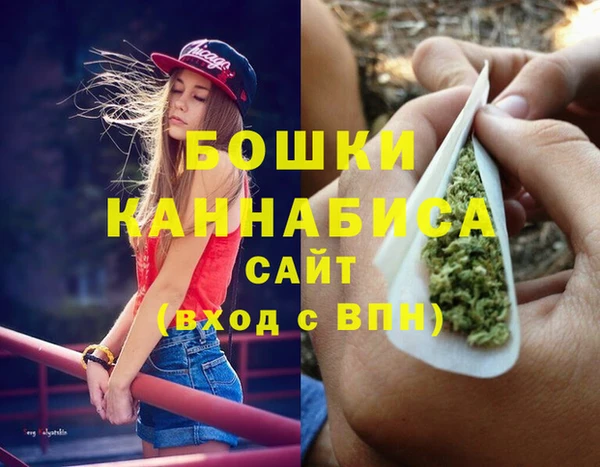 молекула духа Балахна
