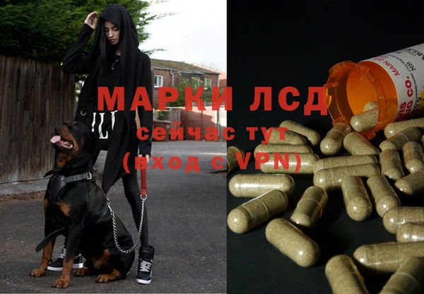 кокс Баксан