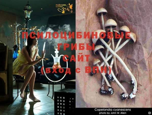 стаф Балабаново