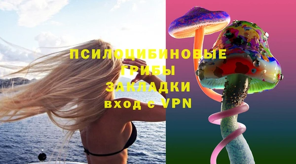 мдпв Белокуриха