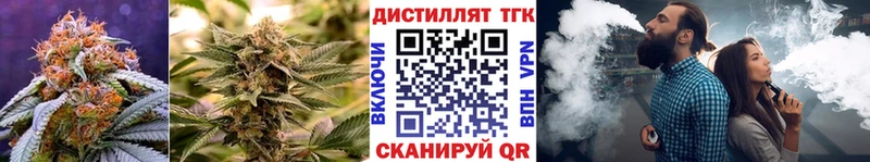 hydra вход  купить наркоту  Светогорск  Дистиллят ТГК вейп 